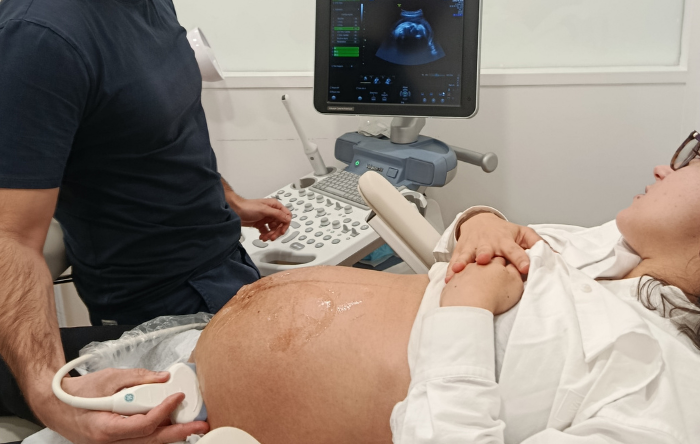 Datação da Gravidez e Data Prevista do Parto (DPP)